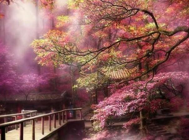 青蛙跳一跳